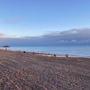 Salt Life Modern Brighton